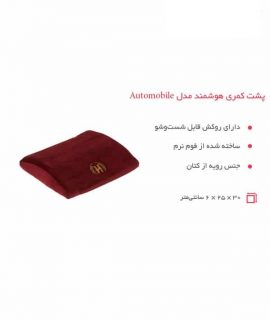پشت کمری هوشمند مدل اتومبیل